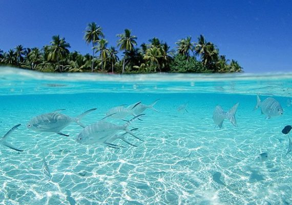 photo : 
